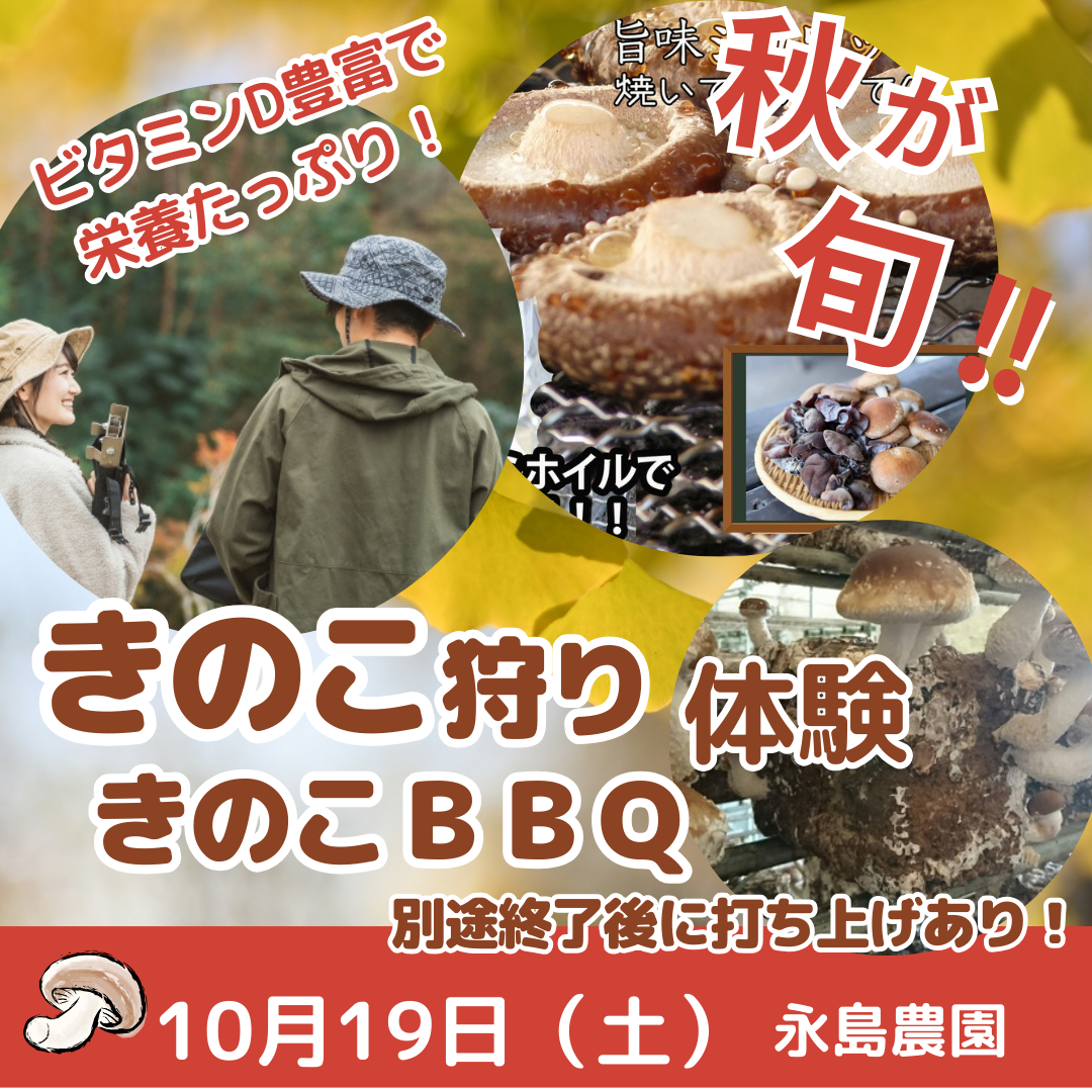 img20240913001825775359.png